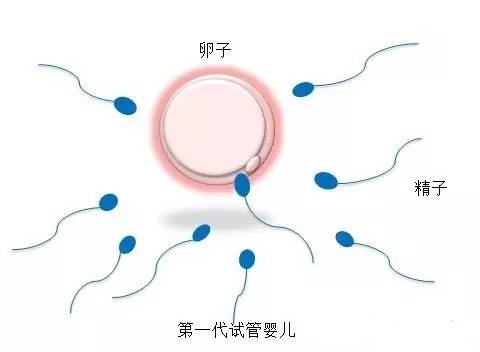 李景泰主任